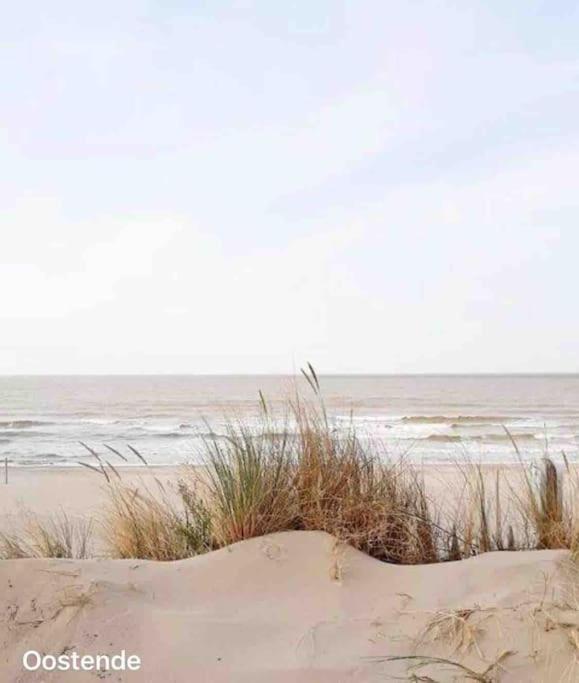 Ostend Chic, Luxe Loftstijl In Oostende Buitenkant foto